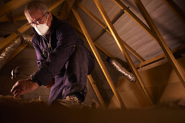 Best Eco-Friendly Insulation in Garden Grove, FL